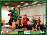 IMX_2482 copy.jpg